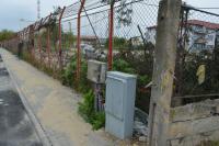 Imagine atasata: onlineimageresize_com_DSC_2491.JPG